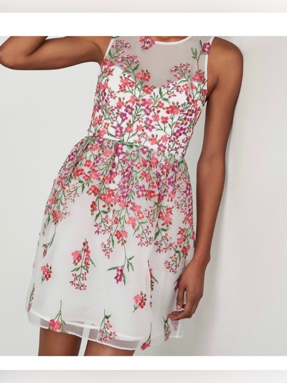 BCBG Max Azria Floral Embroidered Dress Sheer Overlay Garden Party Coquette